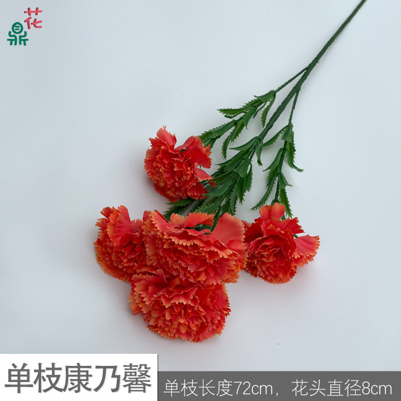 คาร์เนชั่นเดี่ยว XC สีส้ม