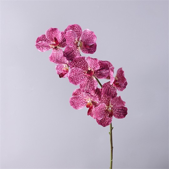Dark Pink