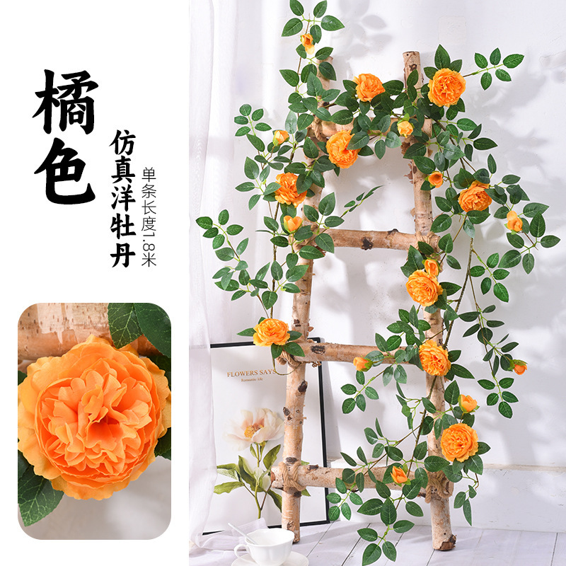 Orange, 1,8 mètres de long