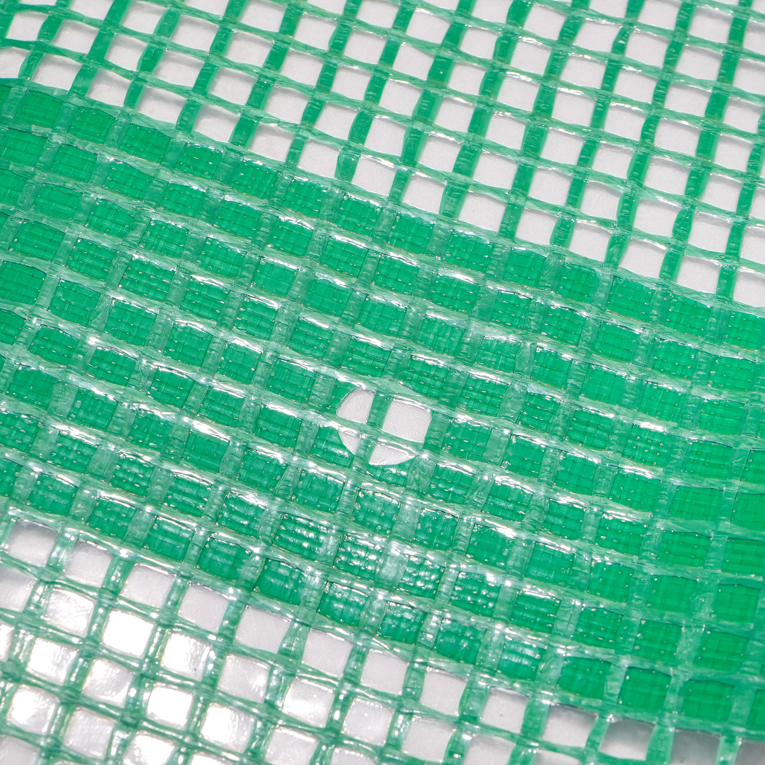 Vert