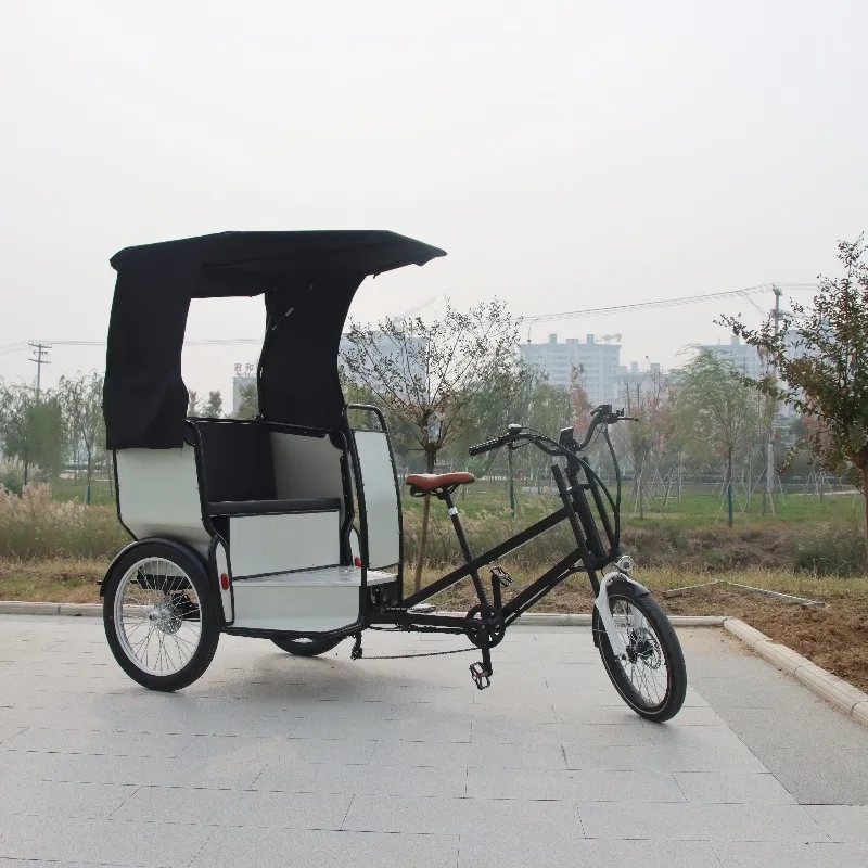 Neuzugang Elektro-Pedikab Rikscha Dreirad-Cargo-Bike-Tricycle für Erwachsene Platz für 3 Passagiere Dreirad anpassbar
