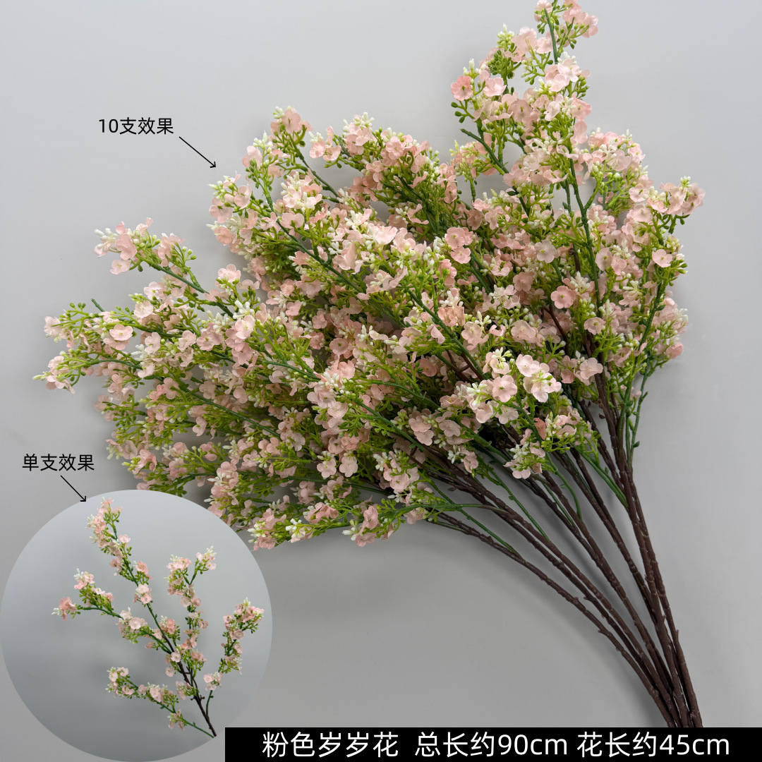 Pink Everlasting Flower