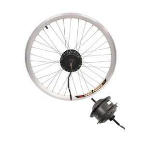 Potente Kit de bicicleta eléctrica de rueda trasera de 20 pulgadas listo para enviar con motor de cubo opcional de 48V y controlador de batería incorporado - Product Image 2