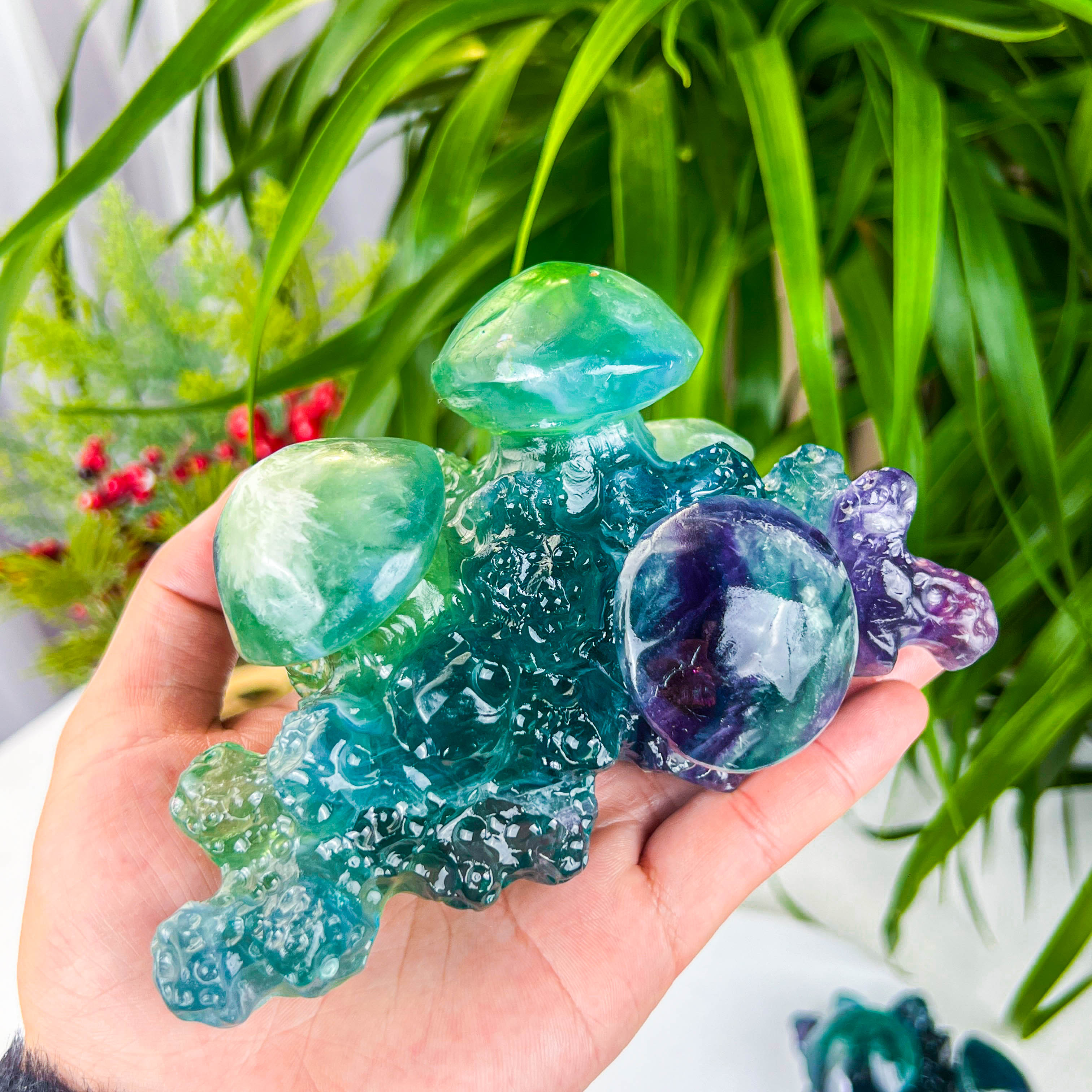 champignon fluorite