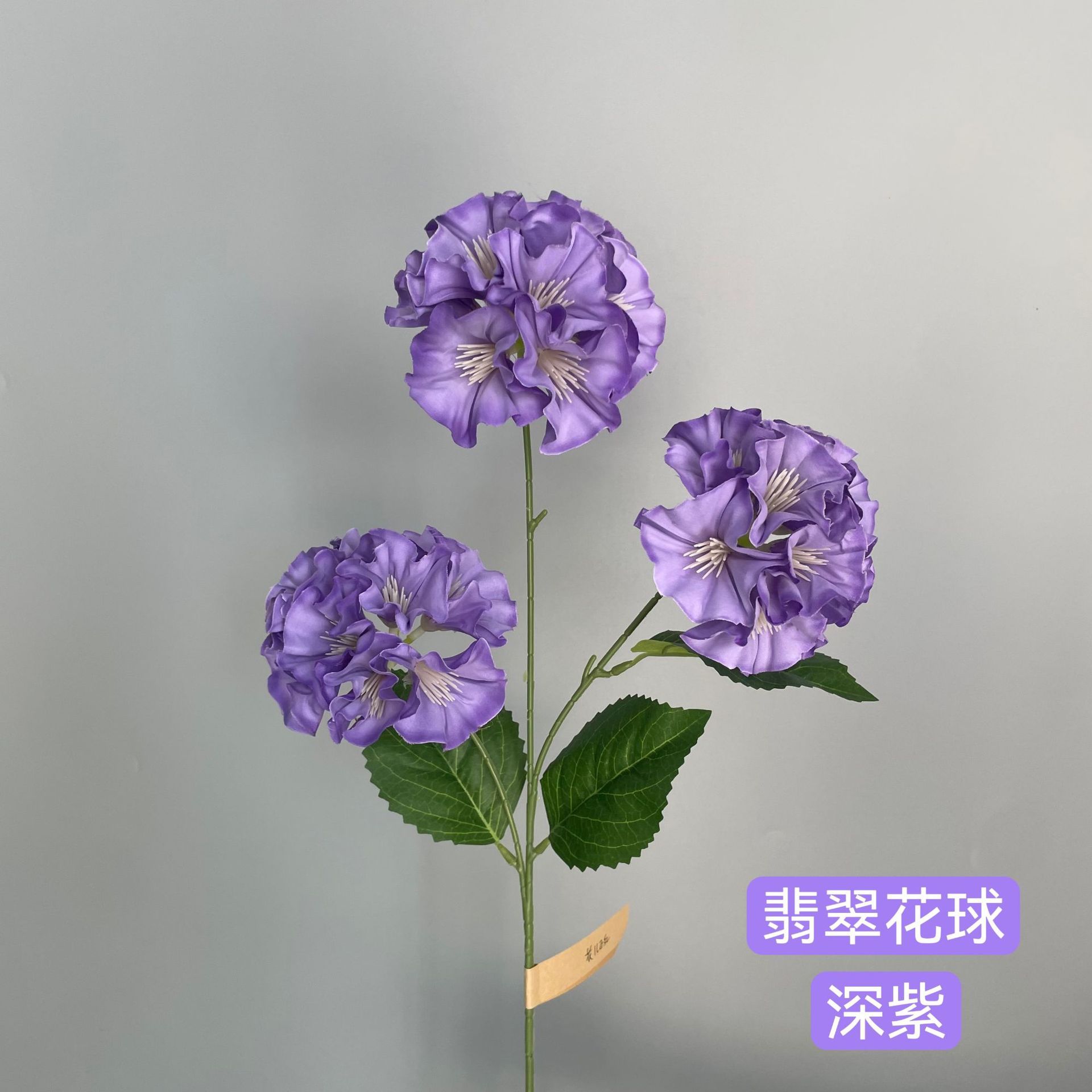 Violet foncé
