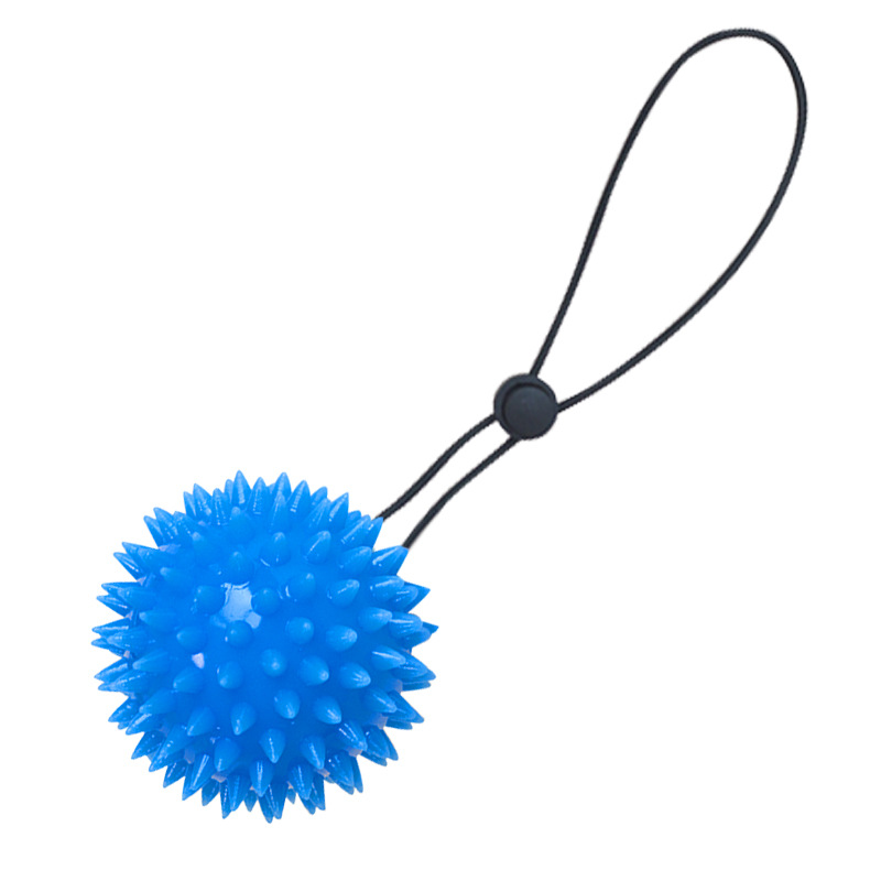 Blue ball with straps