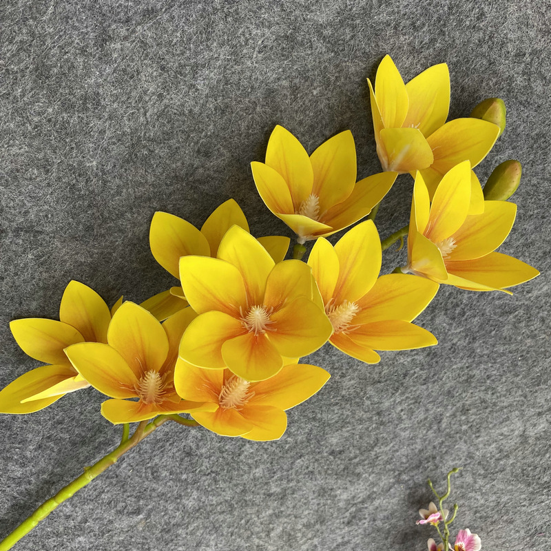 Jaune
