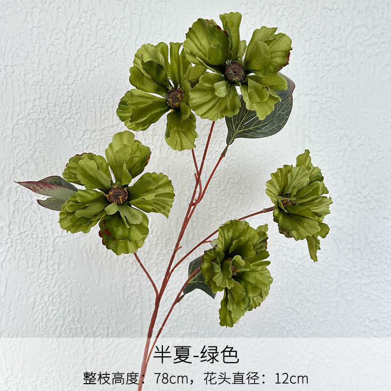 Pinellia verte