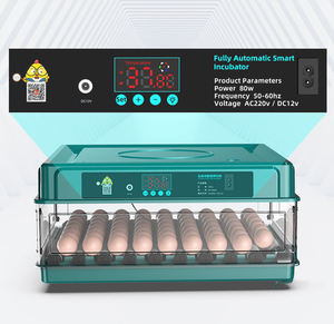 2022 New Design Drawer Type Cheap 72 Mini Incubator with Automatic Water Supply - Product Image 2