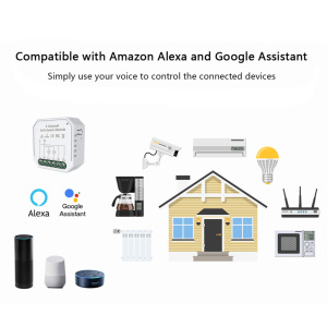 Con Google Alexa 10A Smart Wifi Mini DIY Tuya App di controllo vocale modulo interruttore intelligente modulo di controllo della luce a 2 canali BAB - Product Image 4