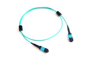 Customized Length MTP MPO APC 16 Fiber Core OM4 Multimode Elite <strong>Cable</strong> for 400G 2x100G <strong>Network</strong> Connection QSFP-DD - Product Image 4