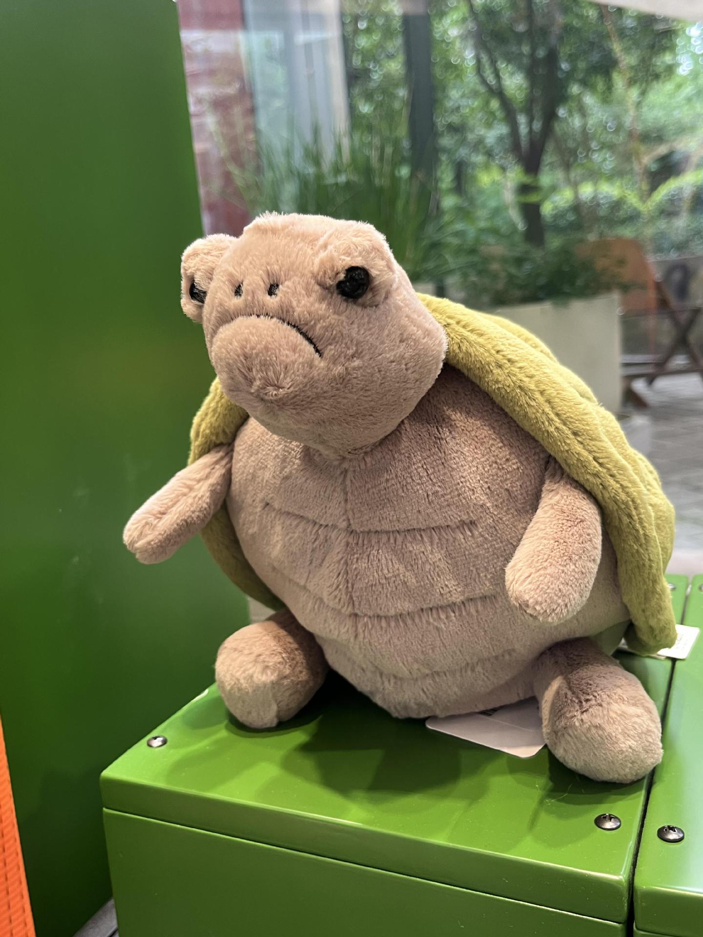 Tortue