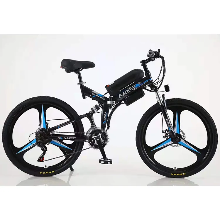 Bicicleta eléctrica de carga pesada, bicicleta eléctrica de carga, extraíble con pedal asistido para adultos