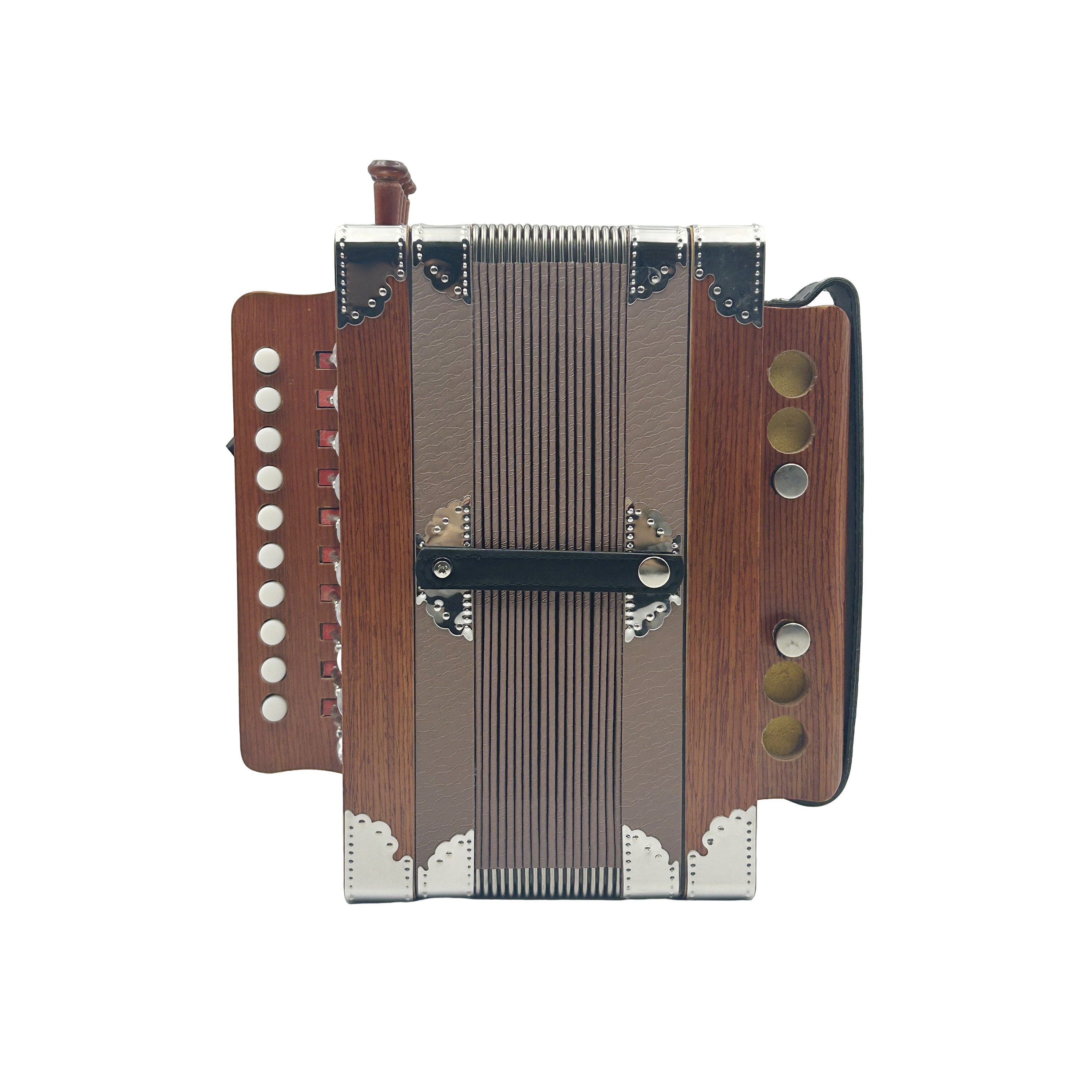 สีน้ำตาล