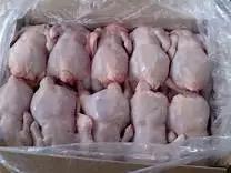 <strong>Halal</strong> Chicken Whole Fresh Frozen Chicken Meat Premium Grade Nutritious Frozen Poultry Meat Ready to Export Chicken Breast - Product Image 4