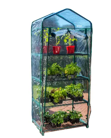 Nuevo diseño simple marco de acero de flor del jardín de casa verde de efecto invernadero con precio de fábrica para venta