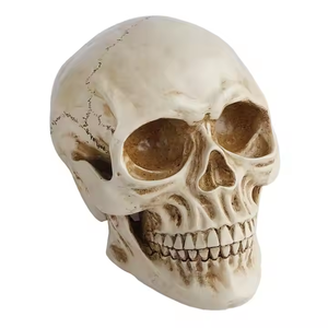 1:1リアルな大人の人間の骨モデルハロウィーン等身大像ホームデコレーション用クラフト用3Dモデル