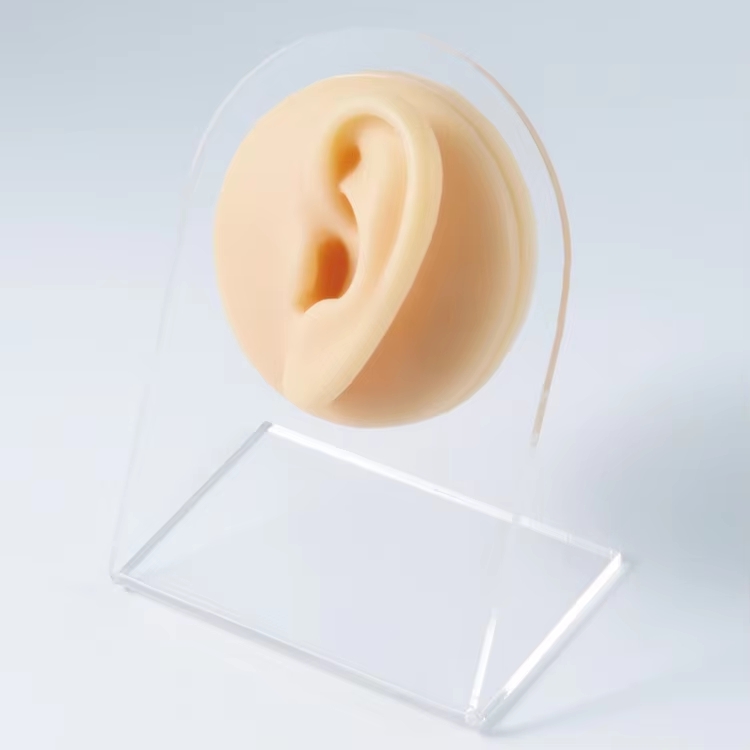 flesh left ear(with display stand)
