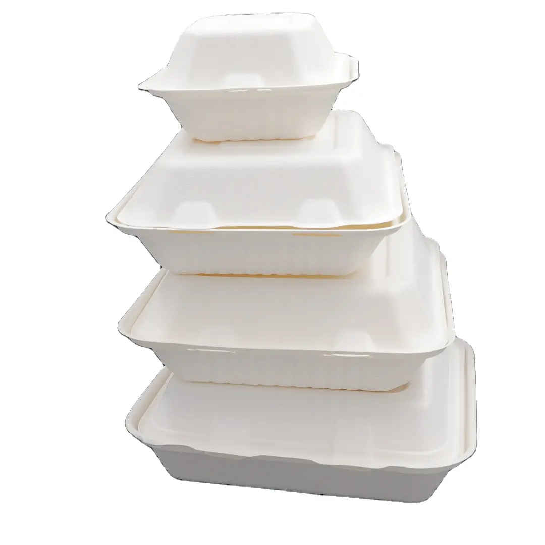 Eco Friendly Biodegradable Disposable Bagasse Lunch Box Packaging 9x6 Inch lunch box for takeaway food