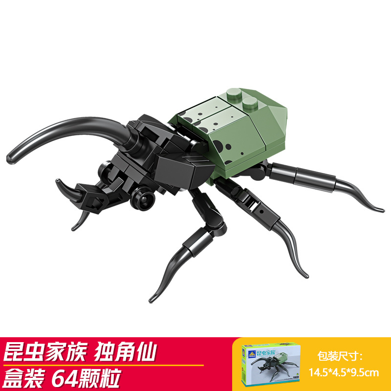 Pequeño escarabajo Hércules-kai zhi 80041-4