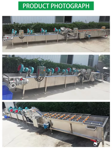 果蔬红枣豆芽清洗分级分选洗涤干燥机线气泡清洗机 - Product Image 6