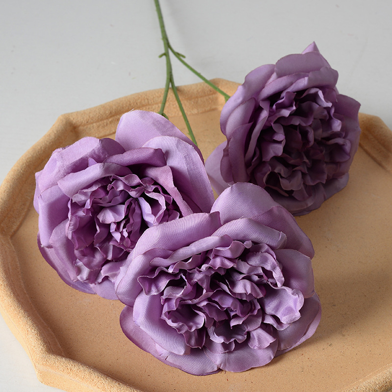 3 têtes Martin violet