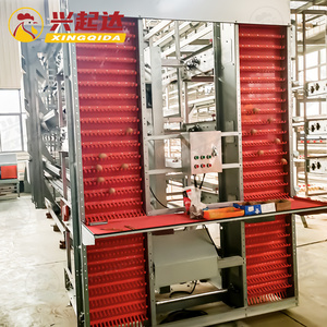 <strong>Chicken</strong> Farming a Type H Type <strong>Chicken</strong> Cage Chick Rearing Cages Safe - Product Image 6