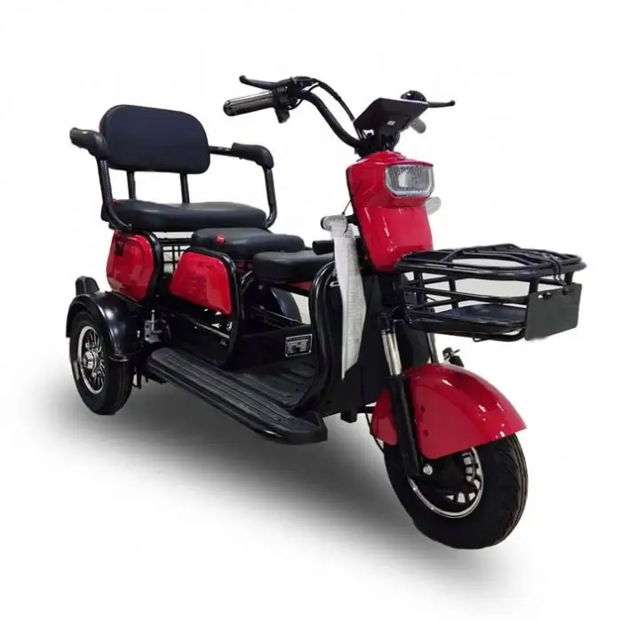 New Open 3 Wheel Electric Bike Tricycle With Pedal For Cargo elder use