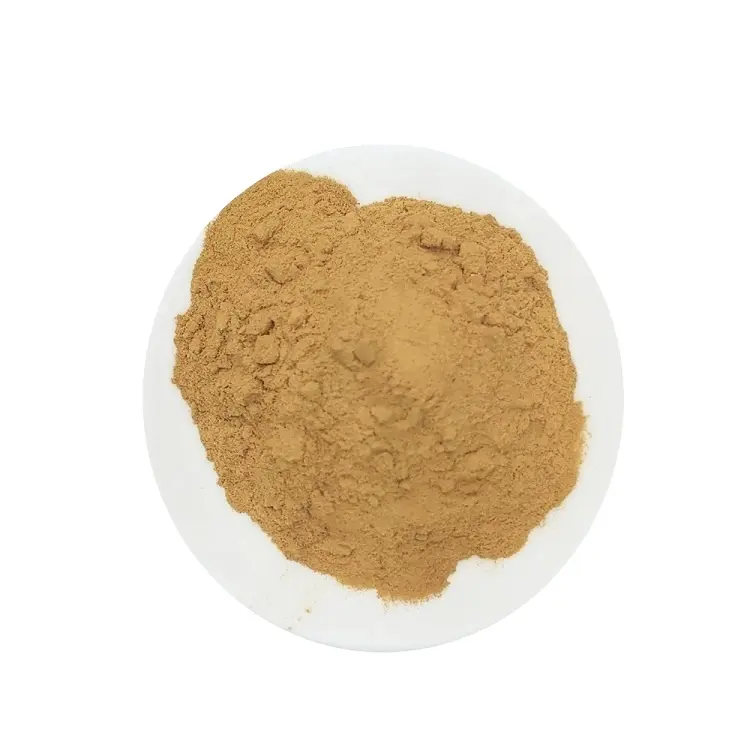 Domestic high quality lion bristle mushroom extract 30% polysaccharide price discount