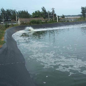 Cheap Price <strong>HDPE</strong> Geomembrane Fish Dam Pond Liner Geomembrane 0.75 mm 1.0 mm 1.5 mm 2.0 mm 3 mm - Product Image 1