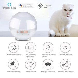 FM Radio Smart Alarm Clock Speaker with Ambient Light Sunrise Wake up Light Bedroom LED Light Reading LED <strong>Lamp</strong> for Tiktok,Ebay - Product Image 2