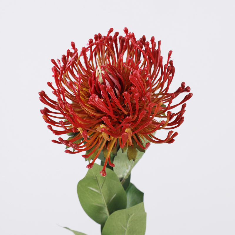 สีแดงเข้ม