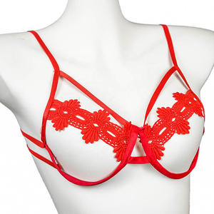 2025 Venda Quente Noite Desgaste Rendas Conjunto de Duas Peças Sutiã e G <span class=keywords><strong>String</strong></span> Erótico Sexy Mulheres Vermelho Oco Ver-through Mulheres Sexy Lingerie Conjuntos