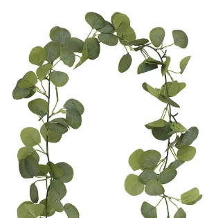 Estilo k de ratán de eucalipto verde (36 cabezas)