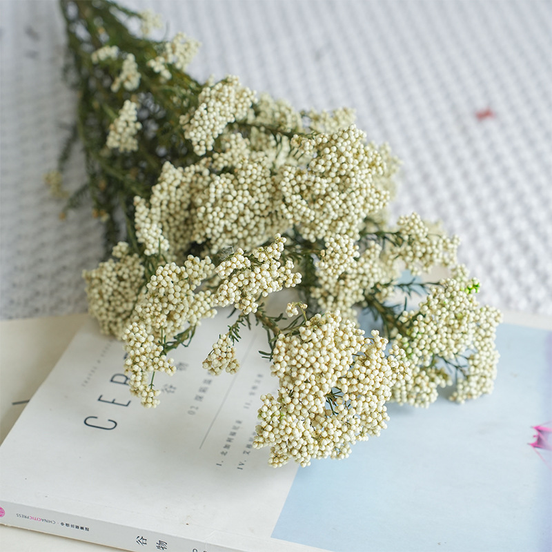 Bianco-80g
