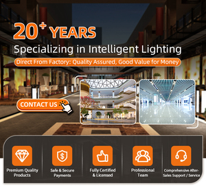 STL HPC-M1 0/1-10V 20W 30W 40W 50W quay số liên tục hiện tại dẫn lái xe cung cấp điện cho chiếu sáng thương mại trong nhà văn phòng ánh sáng - Product Image 6