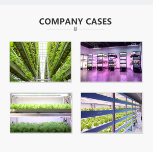 LED büyütücü aydınlatma  Hydroponic kapalı dikey bitki fabrikası için özelleştirilmiş tam spektrum bitki büyümek için Led ışık - Product Image 6