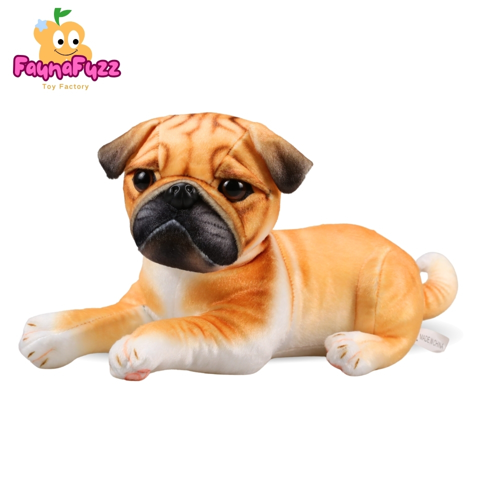 Shar Pei Dog