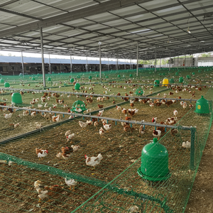 <strong>1</strong> Inch Plastic Chicken <strong>Netting</strong> for Poultry Farms and <strong>Gardens</strong> Protective Fence for Breeding Customizable Cutting Service - Product Image 6