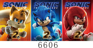 6606