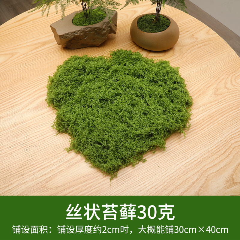 30 grammes de mousse filamenteuse vert clair