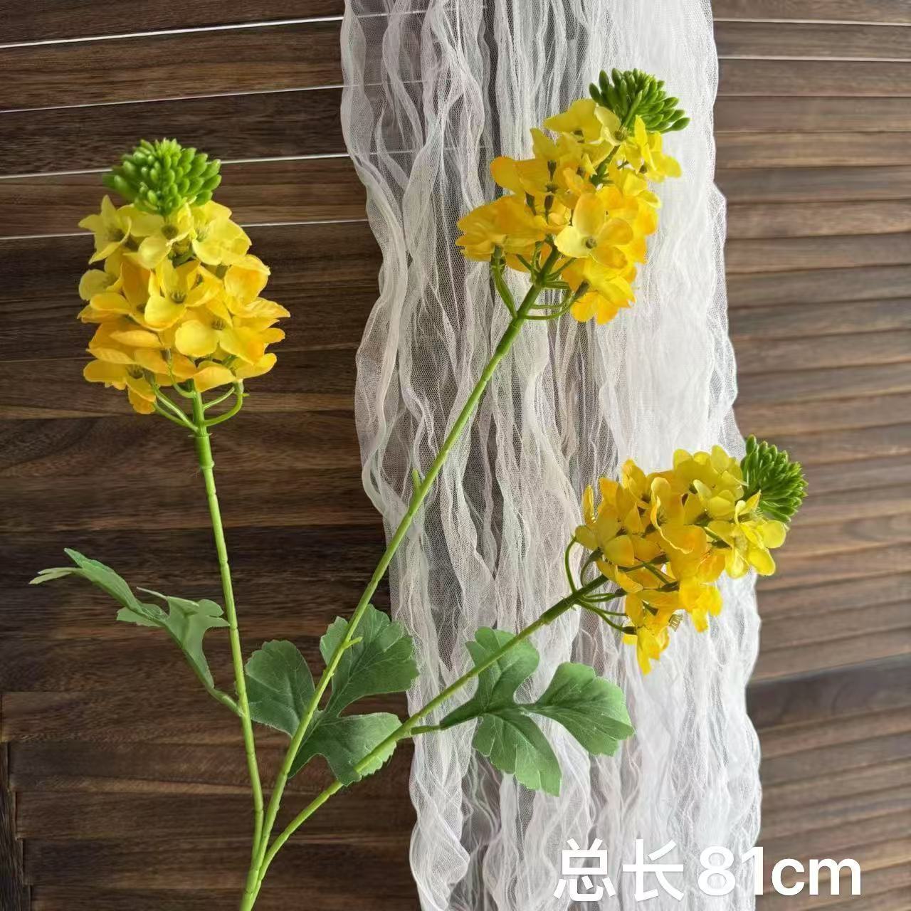 Yellow rape flower