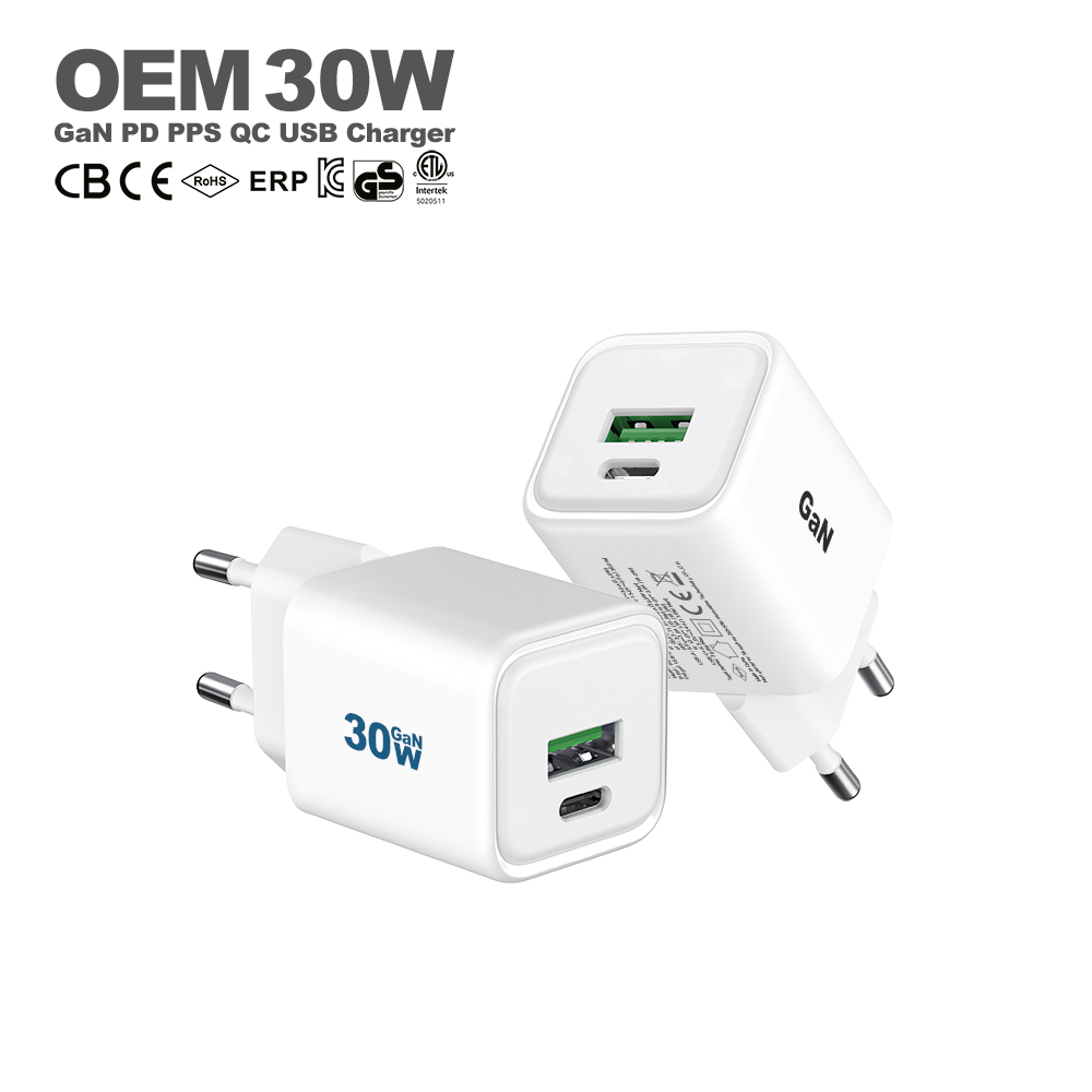 GaN 30W สีขาว