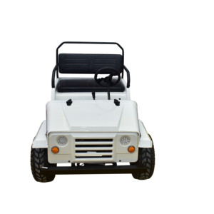 High Quality 4x2 150cc <strong>UTV</strong> Big Electric/Gas/Diesel 2 Stroke Ignition System Automatic Transmission 1000W Power for Sale - Product Image 3