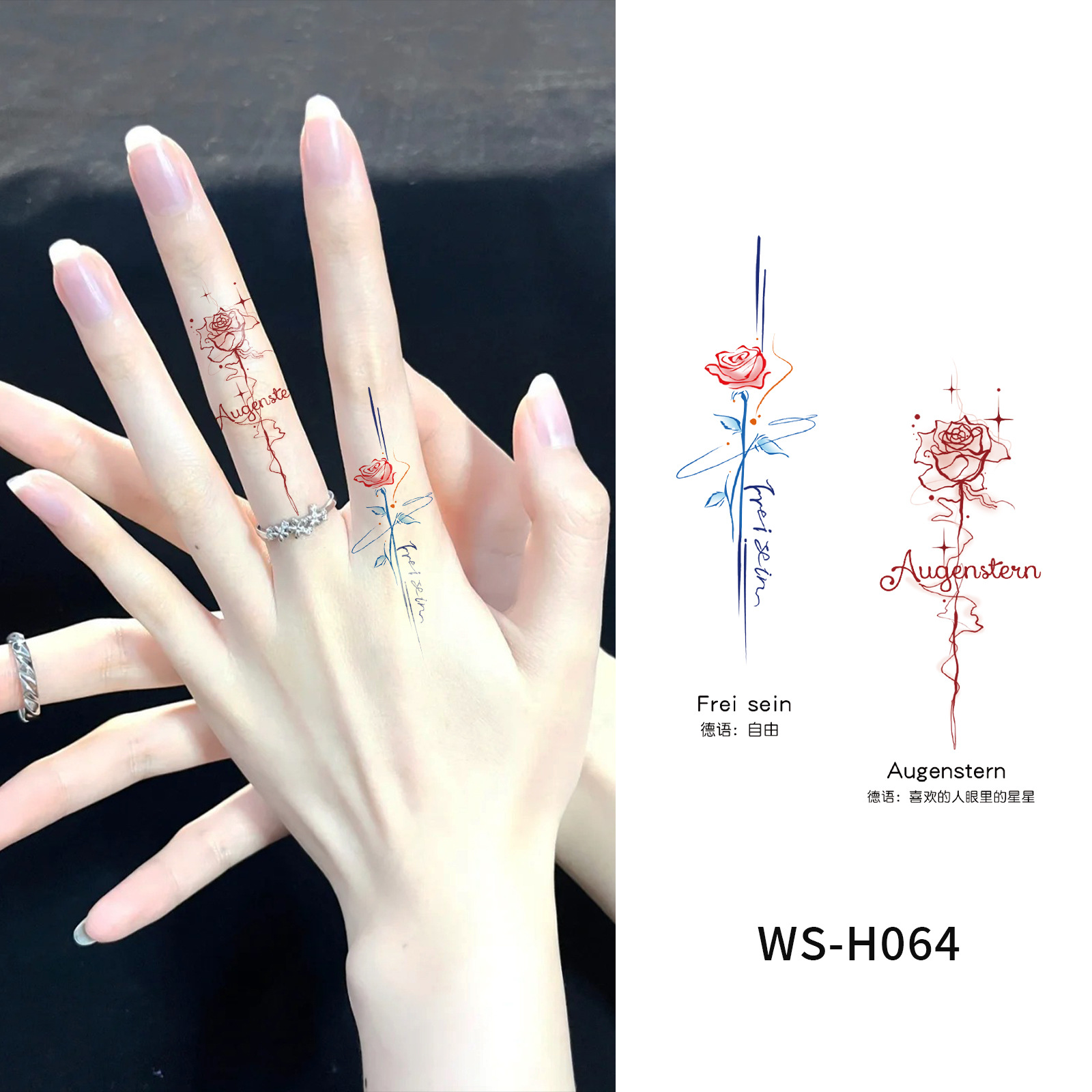 WS-H064