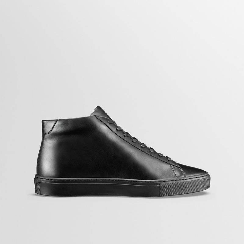 Color scheme Color 2