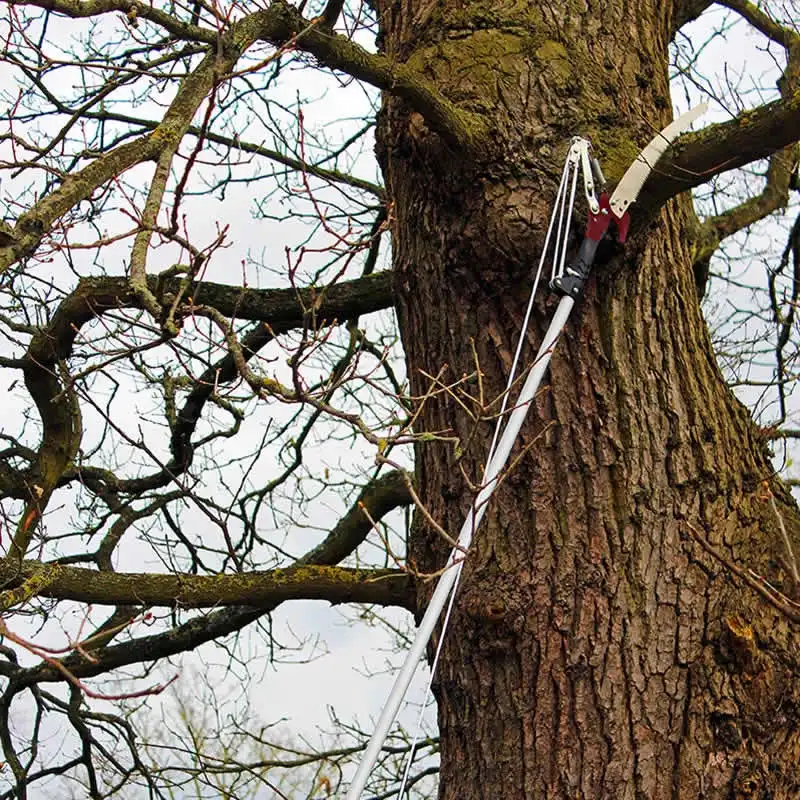 Verlängerung stange Kohlefaser-Teleskops tange beschneiden Scher baum