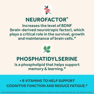 OEM/ODM-Hersteller Brain Supplement für Memory Focus & Concent ration Cognitive Function - Product Image 5