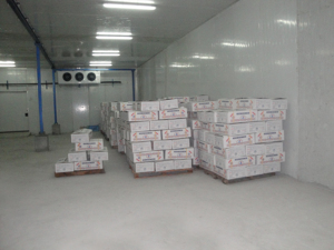 Refrigerated Equipment Container Modular Walk in Cooler <strong>Chiller</strong> Mini Small Mobile Cold Blast Freezer Room for Meat - Product Image 2