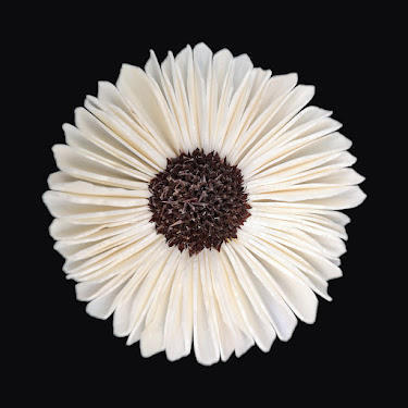 6cm sunflower-s607b06n